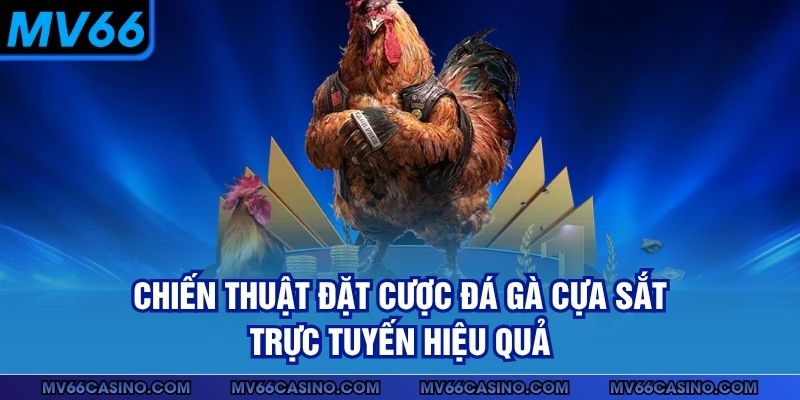 Chiến thuật đặt cược đá gà cựa sắt trực tuyến hiệu quả
